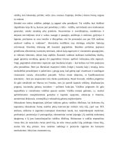 Konstruktyvizmo principai ir kritika 14 puslapis