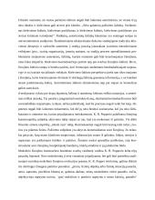 Konstruktyvizmo principai ir kritika 16 puslapis