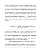 Konstruktyvizmo principai ir kritika 17 puslapis