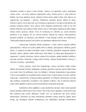 Konstruktyvizmo principai ir kritika 19 puslapis