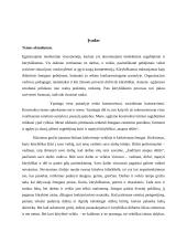 Konstruktyvizmo principai ir kritika 2 puslapis