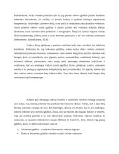 Konstruktyvizmo principai ir kritika 20 puslapis