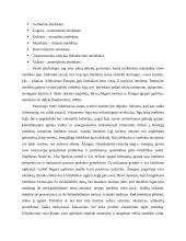 Konstruktyvizmo principai ir kritika 6 puslapis