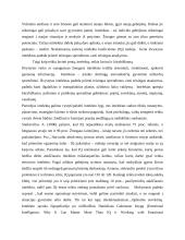 Konstruktyvizmo principai ir kritika 7 puslapis