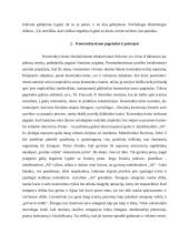 Konstruktyvizmo principai ir kritika 9 puslapis