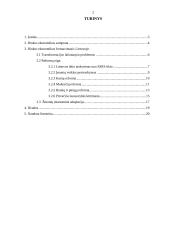 Rinkos ekonomikos formavimasis Lietuvoje 2 puslapis