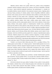 Rinkos ekonomikos formavimasis Lietuvoje 12 puslapis