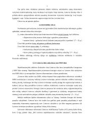 Rinkos ekonomikos formavimasis Lietuvoje 7 puslapis