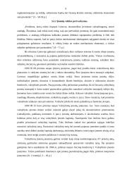 Rinkos ekonomikos formavimasis Lietuvoje 9 puslapis