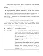 Teikiamų paslaugų kokybės tobulinimas organizacijoje x 17 puslapis