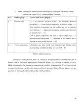 Teikiamų paslaugų kokybės tobulinimas organizacijoje x 19 puslapis