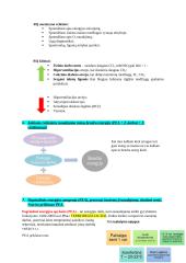 Medžiagų apykaita ir termoreguliacija 2 puslapis