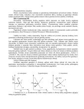 Rinkos esmė 10 puslapis