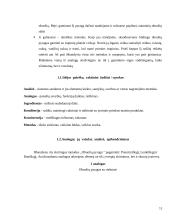 Obuolių pyragas. Technologijų brandos egzamino darbo aprašas 10 puslapis