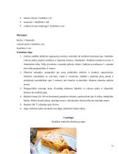 Obuolių pyragas. Technologijų brandos egzamino darbo aprašas 13 puslapis