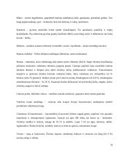 Obuolių pyragas. Technologijų brandos egzamino darbo aprašas 17 puslapis