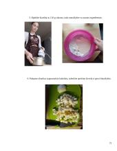 Obuolių pyragas. Technologijų brandos egzamino darbo aprašas 20 puslapis