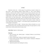 Obuolių pyragas. Technologijų brandos egzamino darbo aprašas 5 puslapis