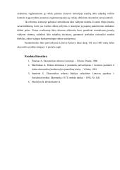 Rinkos formavimosi prielaidos ir eiga Lietuvoje 11 puslapis