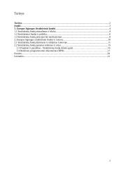 Rinkos raida ir perspektyvos integruojantis į Europos Sąjungą (ES) 2 puslapis