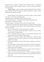 Rinkos raida ir perspektyvos integruojantis į Europos Sąjungą (ES) 12 puslapis