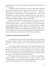 Rinkos raida ir perspektyvos integruojantis į Europos Sąjungą (ES) 17 puslapis