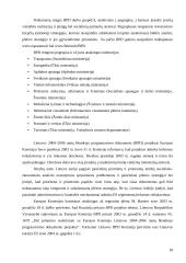 Rinkos raida ir perspektyvos integruojantis į Europos Sąjungą (ES) 18 puslapis