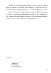 Rinkos raida ir perspektyvos integruojantis į Europos Sąjungą (ES) 20 puslapis