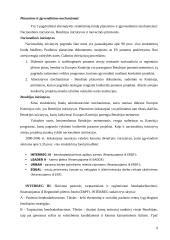 Rinkos raida ir perspektyvos integruojantis į Europos Sąjungą (ES) 9 puslapis