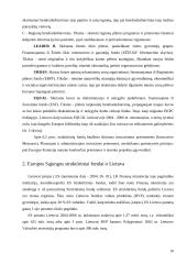 Rinkos raida ir perspektyvos integruojantis į Europos Sąjungą (ES) 10 puslapis