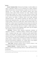 Feminizmo teorijos principai ir jos kritika 2 puslapis