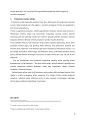 Feminizmo teorijos principai ir jos kritika 7 puslapis