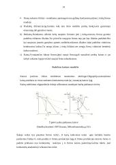 Rinkos struktūros 11 puslapis