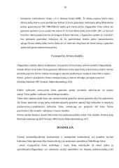 Rinkos struktūros 13 puslapis