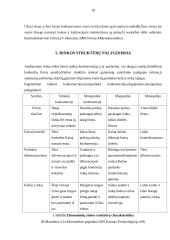 Rinkos struktūros 15 puslapis