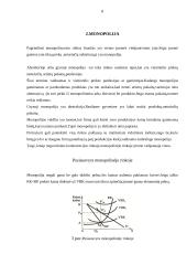 Rinkos struktūros 5 puslapis