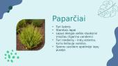 Augalų karalystės pristatymas 5 puslapis