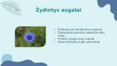 Augalų karalystės pristatymas 9 puslapis