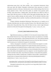 Rinkos struktūrų palyginimas 11 puslapis