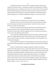 Rinkos struktūrų palyginimas 13 puslapis