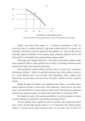 Rinkos struktūrų palyginimas 15 puslapis