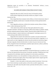 Rinkos struktūrų palyginimas 16 puslapis