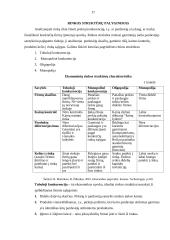 Rinkos struktūrų palyginimas 17 puslapis