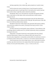 Rinkos struktūrų palyginimas 19 puslapis