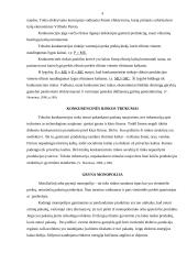 Rinkos struktūrų palyginimas 4 puslapis