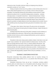 Rinkos struktūrų palyginimas 10 puslapis