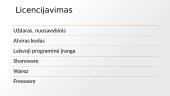Programinė įranga. Skaidrės 2 puslapis