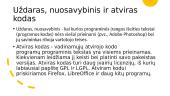 Programinė įranga. Skaidrės 3 puslapis