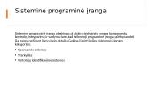 Programinė įranga. Skaidrės 9 puslapis
