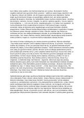 Kūrėjo kelias literatūroje 2 puslapis